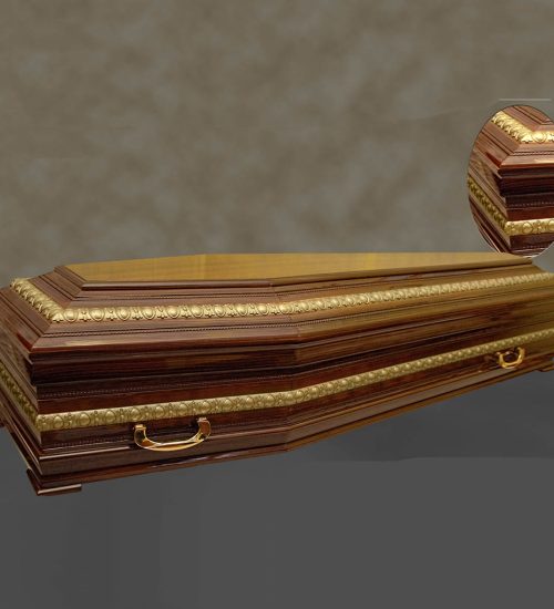 coffin model 1